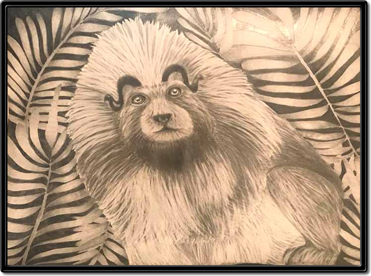 Drawing Masters of The World